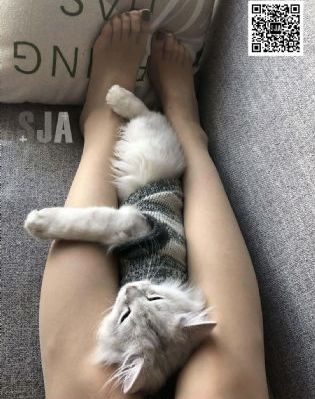 色色五月天激情免费电影_高清神马在线观看