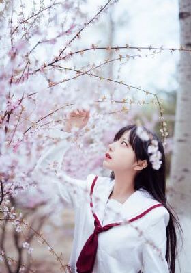 会员免费看1_720超清在线观看