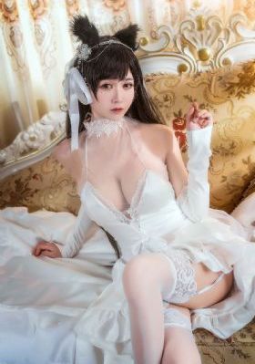 欧美精品视_DVD迅雷电影在线